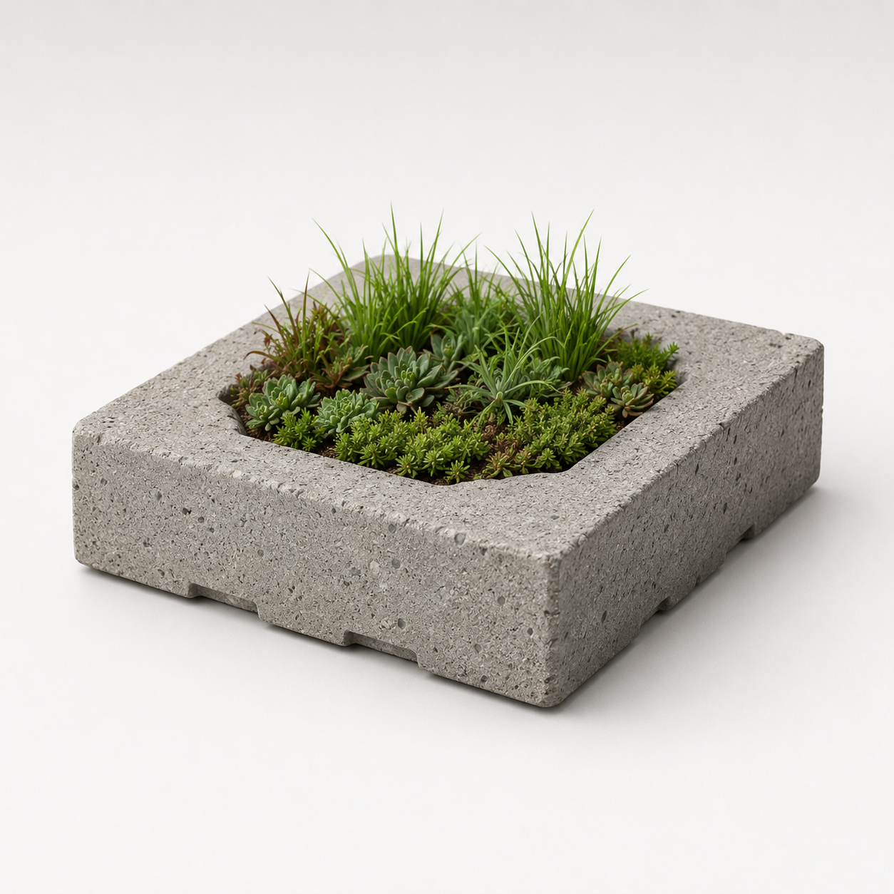 Vegetation Concrete