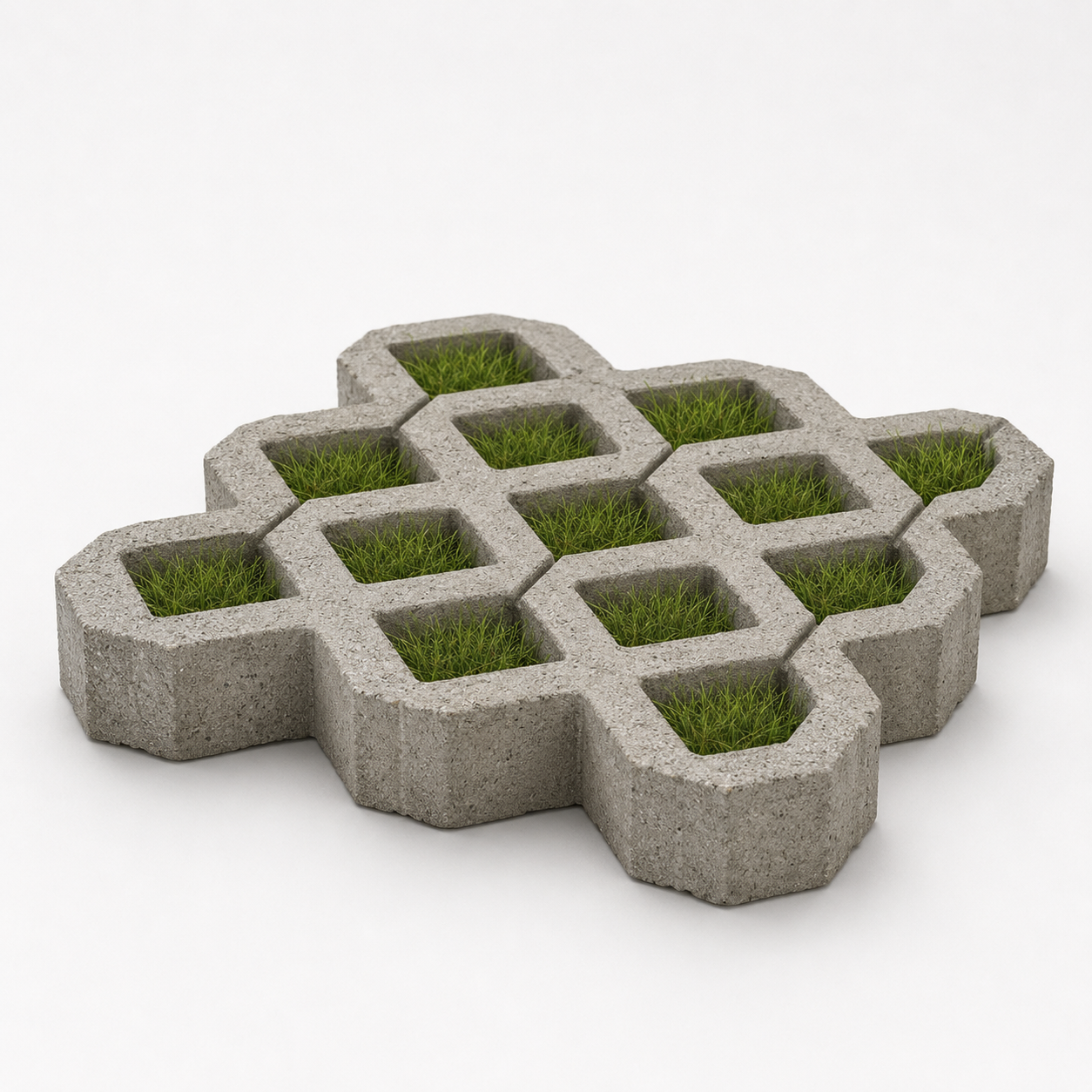 Grass Paver